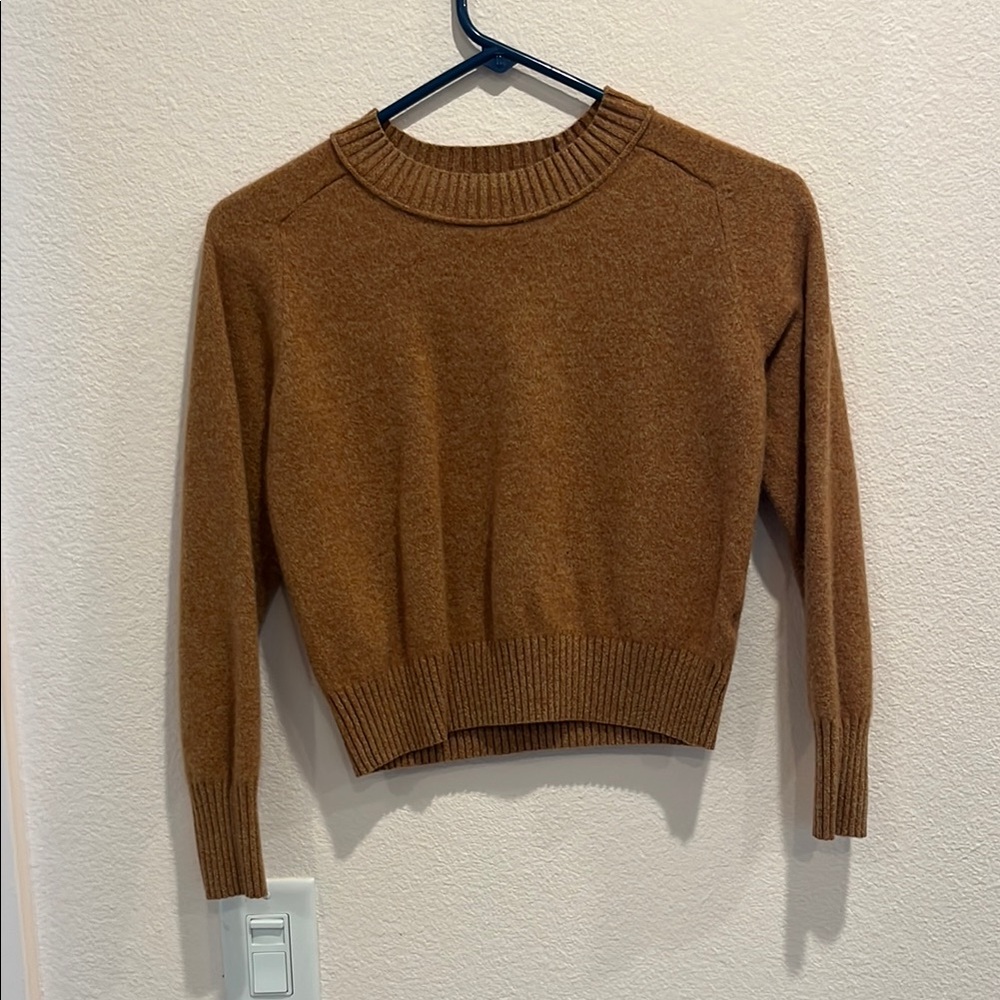 Everlane Women's Tan Crew Neck Sweater